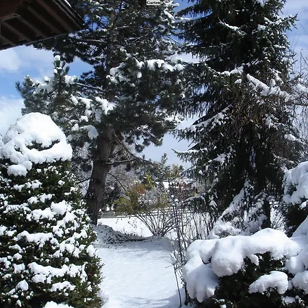 Brigitta Appartement