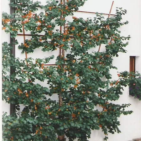 Apartamento Brigitta Innsbruck