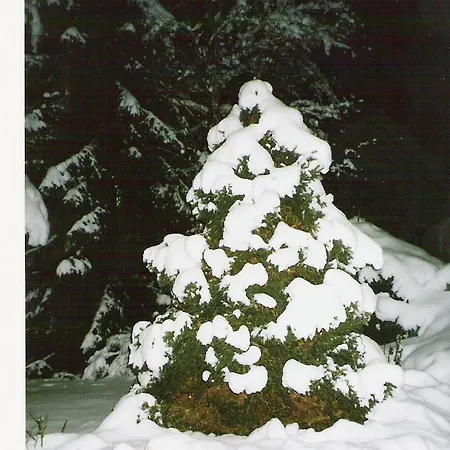 Brigitta アパート インスブルック