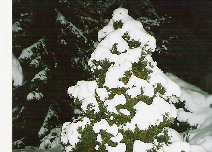 Brigitta Apartman Innsbruck